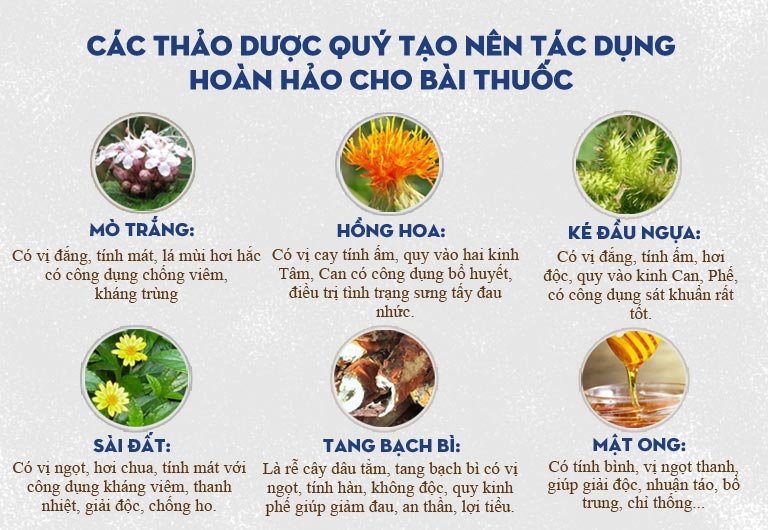 Những vị thuốc chủ chốt trong bài An Bì Thang