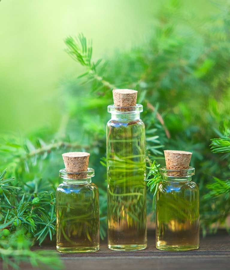 Là neem có tác dụng hiệu quả trong điều trị mụn nước
