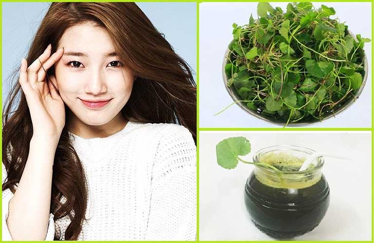  Rau má có saponins ức chế lượng collagen sản sinh