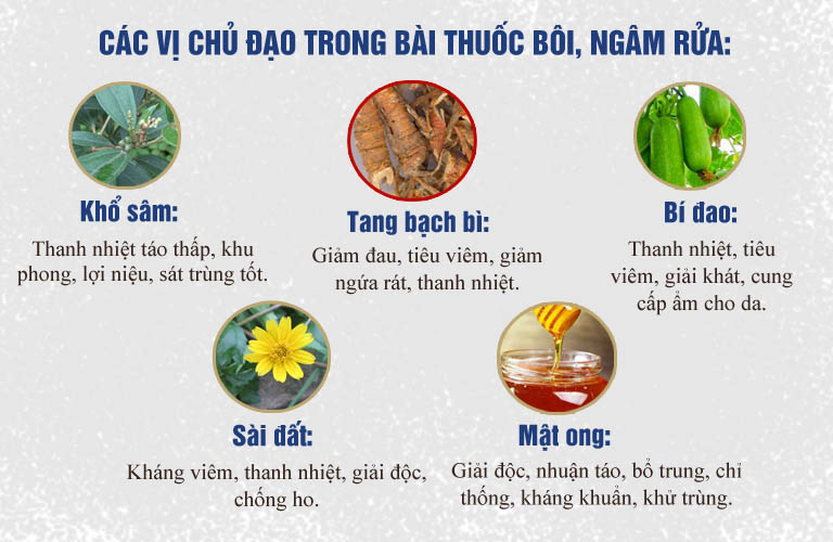 Một số vị thuốc trong bài thuốc bôi, ngâm rửa