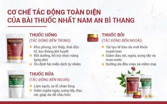 Các chế phẩm trong bài thuốc tổ đỉa Nhất Nam An Bì Thang