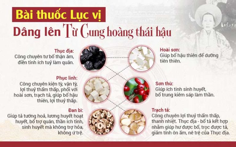 Bài thuốc Lục vị gia giảm đóng vai trò quan trọng trong liệu trình trị mụn Nhất Nam Hoàn Nguyên Bì