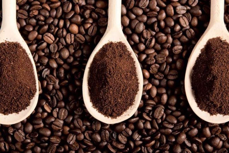 Bột cà phê chứa nhiều chất chống viêm